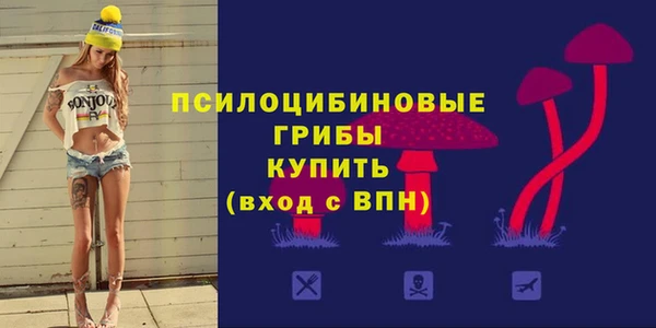 apvp Надым