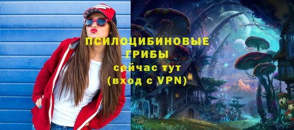 apvp Надым