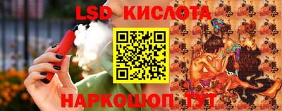 СК Гатчина