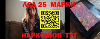 СК Гатчина