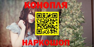 индика Беслан