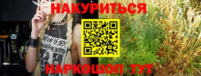 СК Гатчина