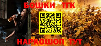 СК Гатчина