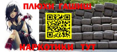 СК Гатчина